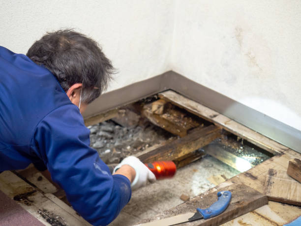 Best Mold Testing  in Waukee, IA